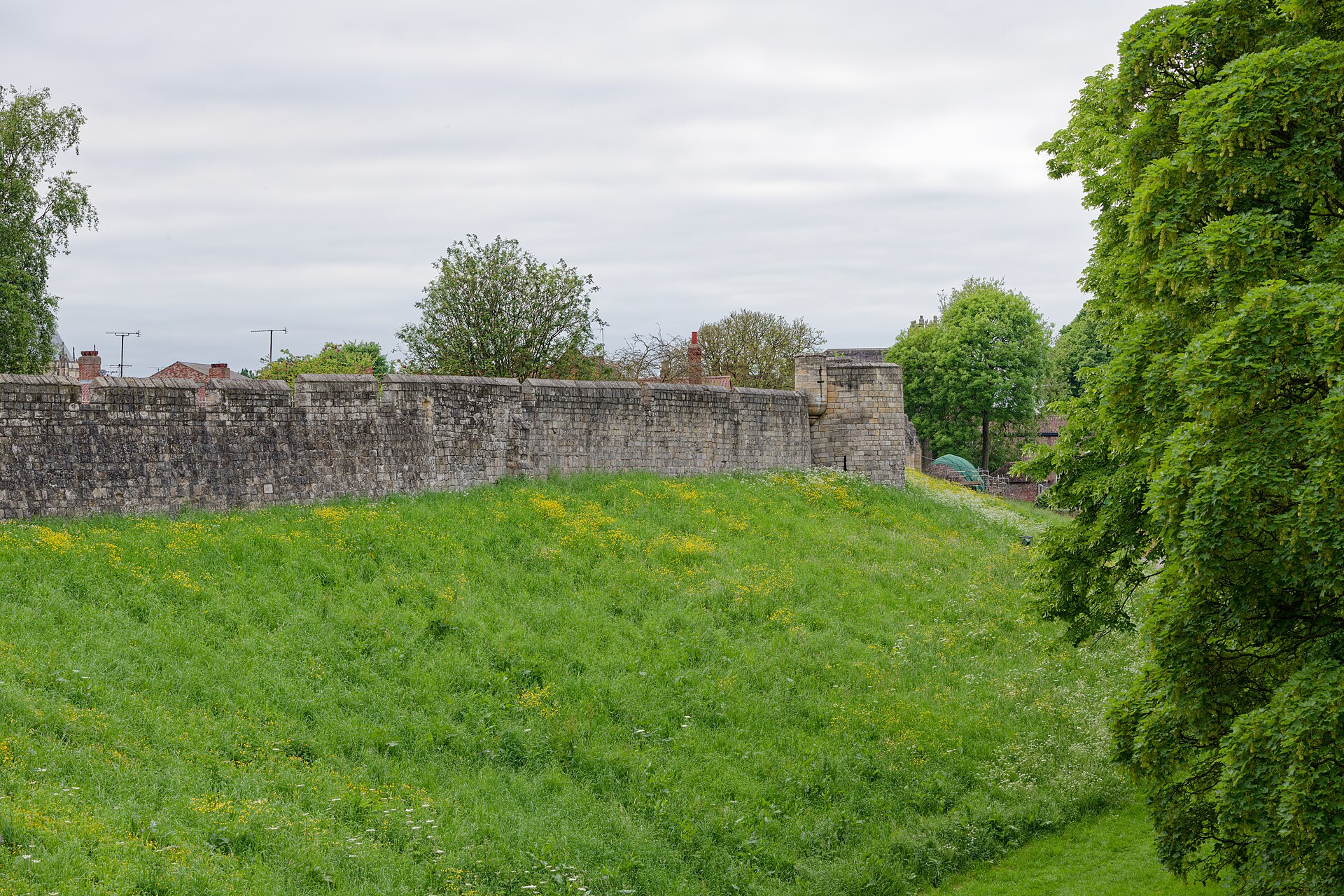York City Walls